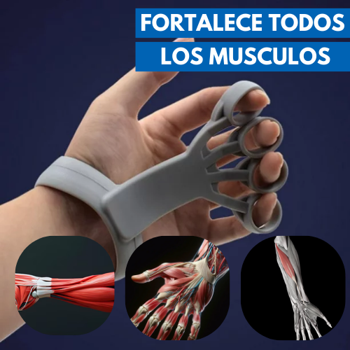 KIT ANTEBRAZO 5 UNIDADES XKIT® CALIDAD MEJORADA